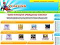 http://www.playlink.de