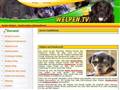 http://www.welpen.tv