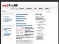 http://www.webseiten-optimierung.biz