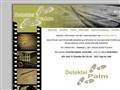 http://www.detektei-palm.de