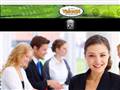 http://www.beamer-profis.de