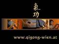 http://www.qigong-wien.at