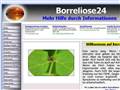 http://www.borreliose24.de