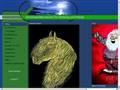 http://stickdesign-nonnemann.de