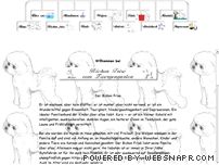 http://www.my-bichons.eu