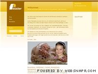 http://www.fessler.at