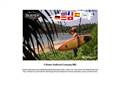 http://www.buster-surfboards.com
