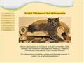 http://katzenpension24.de