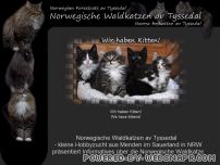 http://www.avtyssedal.de
