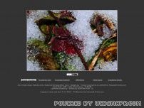http://www.fokuswelt-online.com/