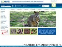 http://www.combipix.com