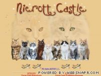 http://www.nierott-castle.de