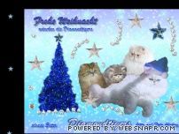http://www.diamondtigers.de