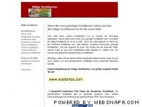 http://www.billige-kreditkarte.de