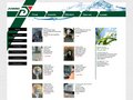 http://www.sanierungstechnik-dommel.de