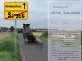 http://www.hundetraining-pforzheim.de