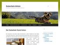 http://www.gutschein-anton.de