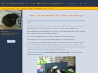 http://meerschweinchen-vom-meinhardsgipfel.de/
