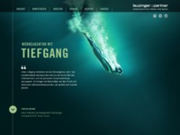 http://leuzingerpartner.ch