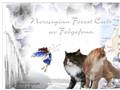 http://www.avfolgefonn.de