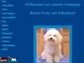 http://www.bichon-wenz.de
