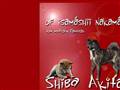 http://www.akita.ch