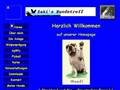 http://www.zakis-hundetreff.de