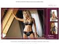 http://www.kostar.com