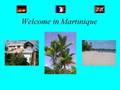 http://www.martiniqueurlaub.de