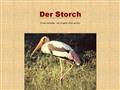 http://storch.sichen.de