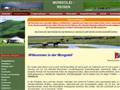 http://www.mongoleitravel.ch