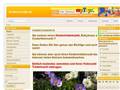 http://www.kindertroedel.de