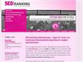 http://www.seo-ranking-optimierung.de/
