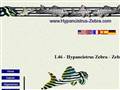 http://www.hypancistrus-zebra.com